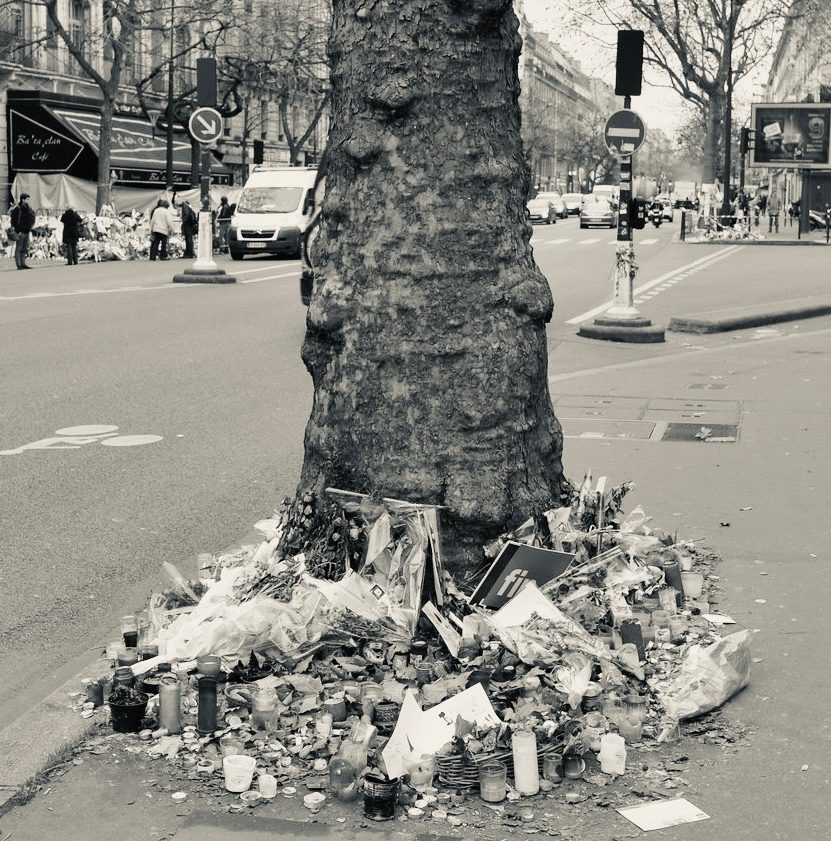 Les gènes du 13 novembre